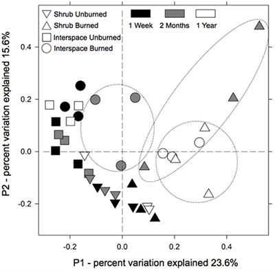 The Burning of Biocrusts Facilitates the Emergence of a Bare Soil Community of Poorly-Connected Chemoheterotrophic Bacteria With Depressed Ecosystem Services